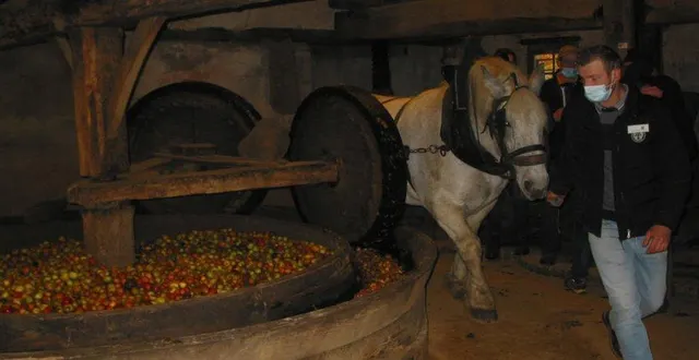 photo  le gadage du xviiie siècle sera remis en service.  &copy;  archives ouest-france 