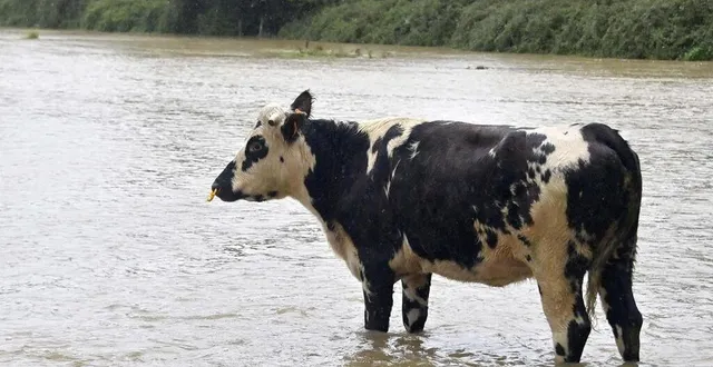 photo  neuf communes de normandie sont concernées par cet arrêté. photo d’illustration.  &copy;  archives jérôme fouquet, ouest-france 