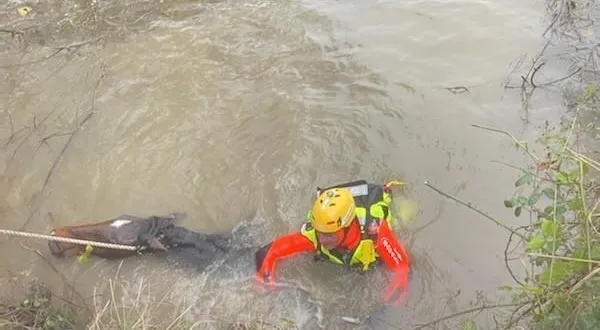 photo  un cheval et son attelage sont tombés dans la mayenne. les pompiers ont pu sortir le cheval de l’eau, en utilisant des cordes.  &copy;  ouest-france 