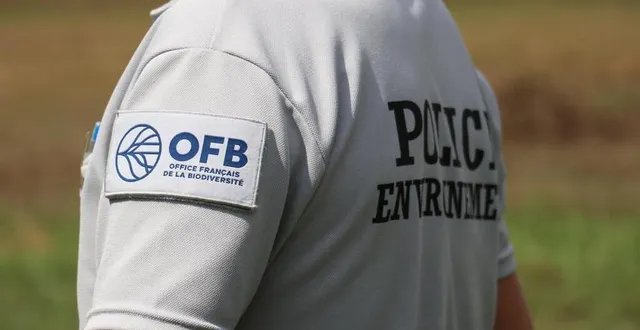photo  l’office français de la biodiversité a découvert en 2023, une haie coupée sur 150 mètres près du village des aspres (orne).  &copy;  archives ouest-france 
