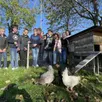 photo les écodélégués du collège georges-brassens devant le poulailler et les trois poules..
