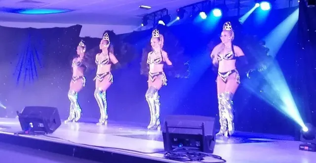 photo  le spectacle sur scène, haut en couleur et en musique, a offert un grand moment aux spectateurs.  &copy;  ouest-france 