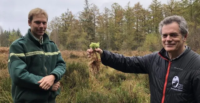 photo  franck levin, technicien forestier de l’onf, et michel ameline, responsable scientifique du parc naturel régional normandie-maine. michel ameline tient à la main un morceau de sphaigne, une véritable éponge naturelle.  &copy;  ouest-france 