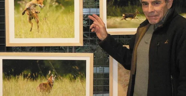 photo  le photographe animalier jacky montassier prépare minuteusement les rencontres inopinés avec les animaux sauvages.  &copy;  ouest-france 