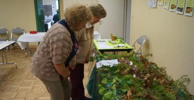 photo  pendant trois jours,les différentes variétés de champignons qui poussent dans nos forêts sarthoises étaient exposées à la salle polyvalente.  &copy;  ouest-france 