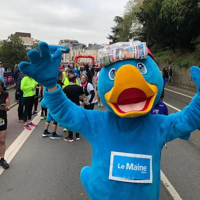 photo un petit coucou de phénomaine, la mascotte du maine libre !  ©  photo le maine libre