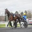 photo « ganay de banville », le protégé de nicolas bazire, n’est pas prêt de refouler les pistes des hippodromes.