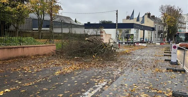 photo  en face du lycée saint-charles sainte-croix, au mans, les premiers arbres sont tombés.  &copy;  ouest-france 