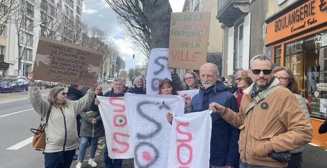photo  les opposants à l’abattage des arbres de l’avenue bollée, au mans, lors d’un rassemblement le 23 mars 2024.  &copy;  archives ouest-france 