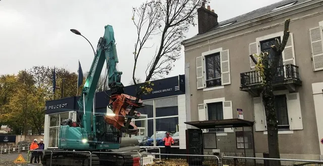 photo  outre soulever les grumes, la pelle-pince peut aussi couper de grosses branches.  &copy;  le maine libre 