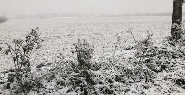 photo  entre sablé et la flèche, la neige a tenu. la chaussée reste glissante ce jeudi 21 novembre.  &copy;  photo le maine libre 