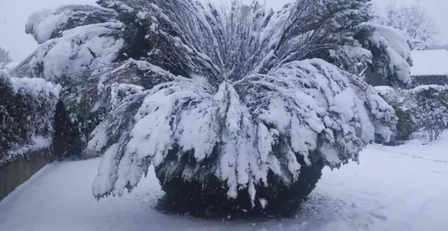 photo  à cuissai, près d’alençon, dans le jardin de linda, privée d’électricité depuis jeudi 21 novembre 2024, 16 h.  &copy;  dr 