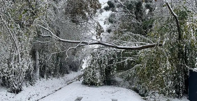 photo  avec son télescopique et son godet, emmanuel bouilly, agriculteur à larré (orne), a déneigé les 11 km de voiries communales (photo d’illustration).  &copy;  ouest-france 