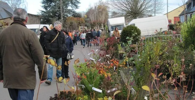 photo  la foire de la sainte-catherine de briouze, dans l’orne, aura lieu comme prévu. seul changement : les randonnées sont annulées.  &copy;  archives ouest-france 
