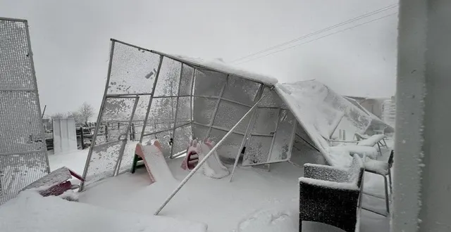 photo  les fortes rafales de vent ont fait chuter les barrières des enclos des animaux.  &copy;  stéphanie lisicki 