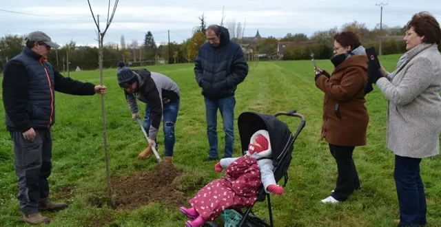 photo  le millésime 2023 compte 14 arbres pour 14 naissances.  &copy;  le maine libre 