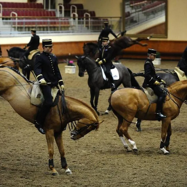 photo présentation du cadre noir, à saumur  ©  ouest france