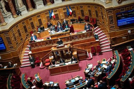 photo Une séance au Sénat le 19 novembre 2024. Photo d’illustration. XOSE BOUZAS / Hans Lucas via AFP 