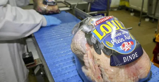 photo  le bénéfice de ldc a reculé de 18,9%.  &copy;  archives le maine libre - yvon loué 