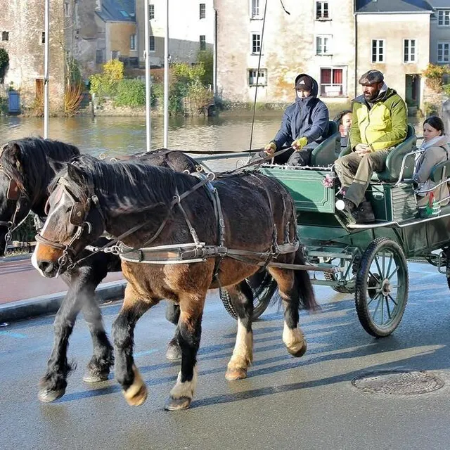 photo comme en 2023, des balades en calèche gratuites seront proposées le dimanche.  ©  archives ouest-france