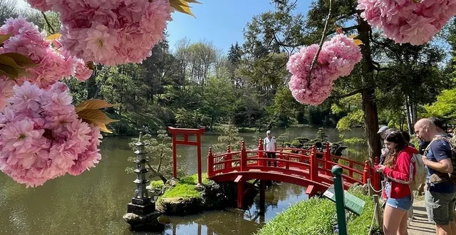 photo  au terme de sa saison 2025, le parc oriental de maulévrier a signé un record de fréquentation.  &copy;  parc oriental de maulévrier 