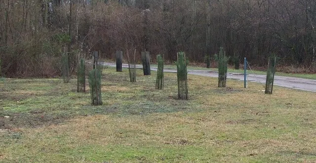 photo  une régénération de haies se fera vendredi, ouverte à tous.  &copy;  ouest-france 
