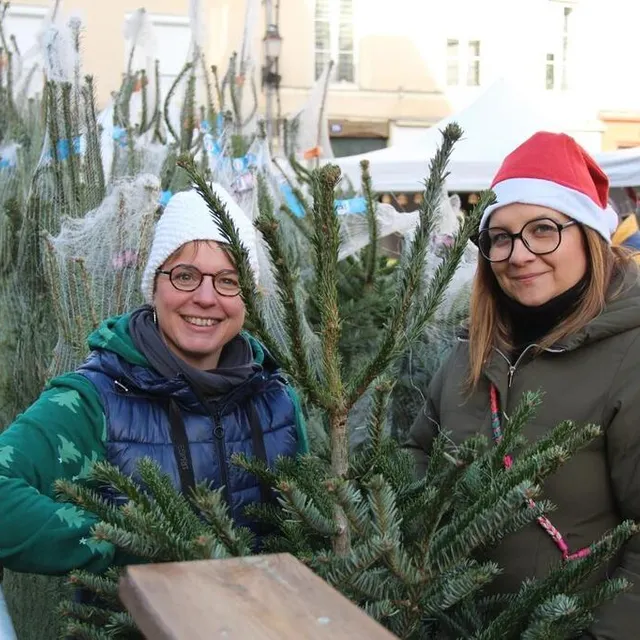 photo co-organisatrice de l’événement et, pour l’occasion, vendeuse de sapins, noémie vaidie peut se réjouir de l’affluence au marché de noël de ce samedi.  ©  ouest-france