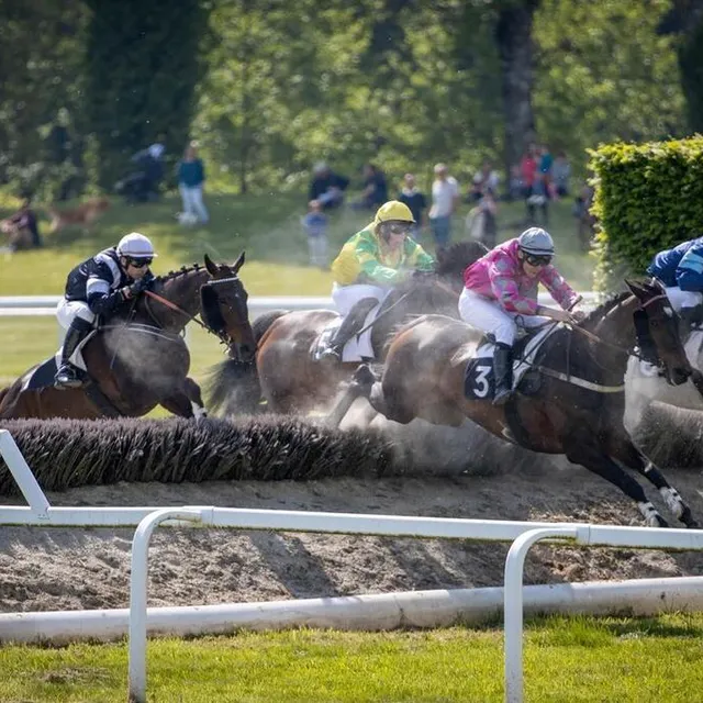photo les courses d’obstacles (ici au pin) et de plat représentent un tiers des courses qui seront programmées dans l’orne en 2025.  ©  ingrid jean