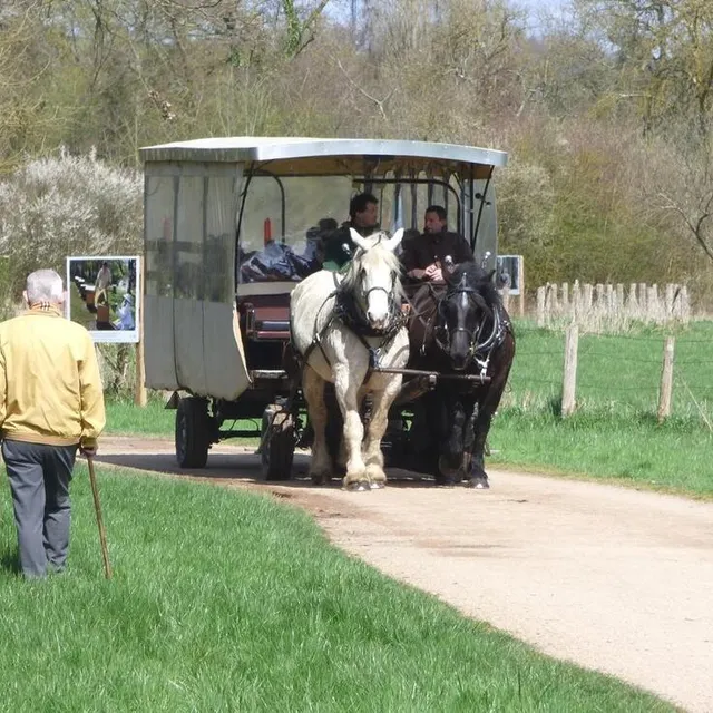 photo dans l’arche de la nature, une balade en hippomobile s’impose !  ©  ville du mans - alain szczuczynski