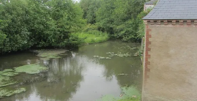photo  l’erdre (ici à candé) présente un « état global dégradé », selon le rapport d’activité 2023 du syndicat mixte edenn (entente pour le développement de l’erdre navigable et naturelle).  &copy;  archives ouest-france 