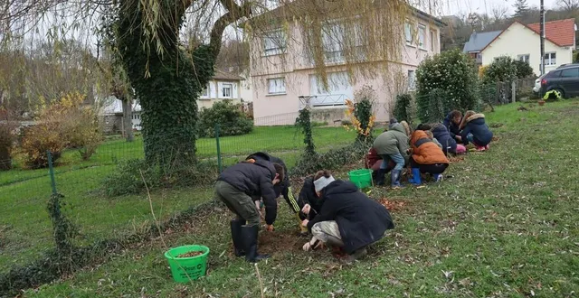 photo  par groupe de trois ou quatre, les enfants ont planté une trentaine d’arbustes dans la partie en herbe de la cour du groupe scolaire de la hère à pont-d’ouilly (calvados). une action qu’ils ont réclamée pour avoir de l’ombre dans la cour de récréation.  &copy;  ouest-france 