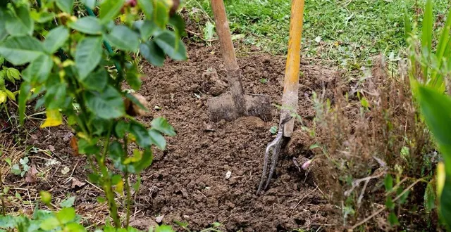 photo  deux points ont été ajoutés au règlement des jardins familiaux d’allonnes, lors du conseil municipal du 11 décembre.  &copy;  archives ouest-france 