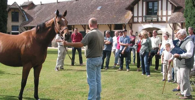 photo  le haras de fresnay-le-buffard, un nom à la notoriété mondiale dans le monde des courses.  &copy;  archives ouest-france 