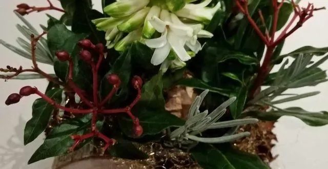 photo  exemple de réalisation de composition florale que propose nadine, animatrice bénévole à la médiathèque d’athis de l’orne.  &copy;  nlepeinteur 