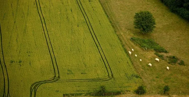 photo  la sarthe est le deuxième département le moins peuplé des pays de la loire.  &copy;  archives le maine libre - hervé petitbon 