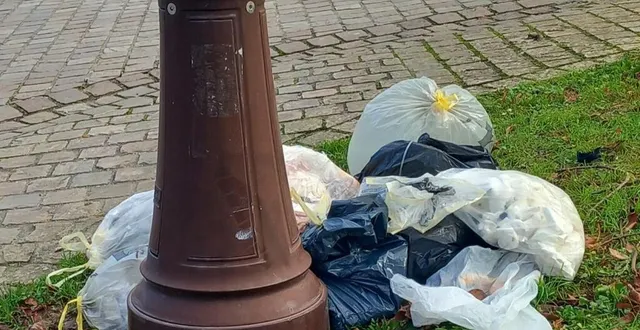 photo  la communauté de communes appelle à la vigilance des habitants pour respecter les jours de collecte.  &copy;  ouest-france 