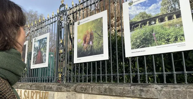 photo  les 20 photos retenues dans le cadre de la 7e édition du concours « la sarthe dans l’œil des instagramers » sont visibles sur les grilles de l’hôtel du département jusqu’en mars 2025.  &copy;  ouest-france 