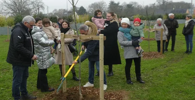 photo  un papa rebouche le trou de plantation d’un noyer, le dernier des cinq arbres plantés pour les cinq enfants palvinéens nés en 2023, habitant la commune.  &copy;  ouest-france 