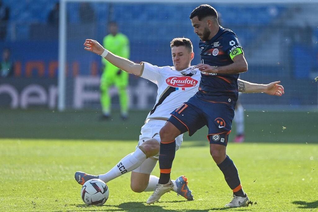« Entre le ridicule et le pitoyable » les ultras de Montpellier