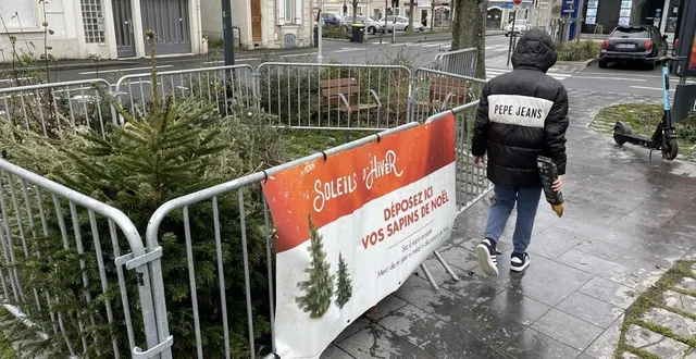 photo  plusieurs lieux de collecte des sapins de noël sont proposés aux habitants d’angers et de son agglomération comme ici place de la madeleine à angers.  &copy;  co - anthony pasco 
