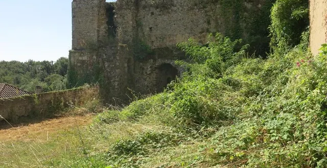 photo  les amis du château d’argentonnay proposent une visite accompagnée d’un de leurs bénévoles, dimanche 5 janvier.  &copy;  archives co – nadège desquiens 