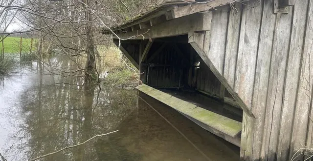 photo  le grand hazé de briouze est la plus grande zone marécageuse (200 hectares) de l’orne.  &copy;  ouest-france 