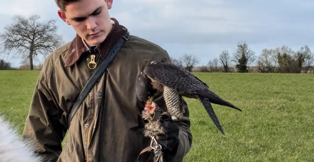 photo  ce fauconnier et son faucon crécerelle ont fait découvrir la chasse au vol aux membres du club nature junior.  &copy;  ouest-france 