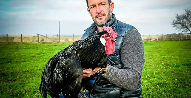 photo  gwenaël lhuissier a lancé son activité en 2014. dix ans plus tard, son élevage de poules noires du mans est un succès.  &copy;  le maine libre – yvon loué 