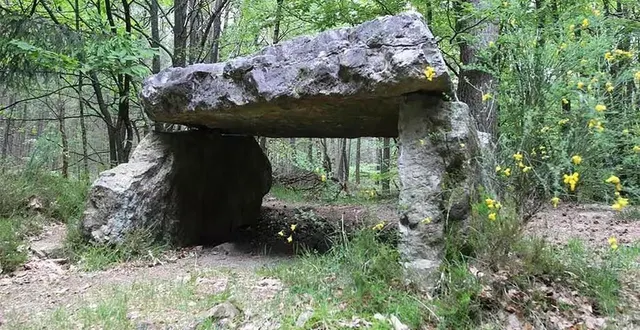photo  le dolmen du lit de la gione, en bordure de la forêt des andaines.  &copy;  archives ouest-france 