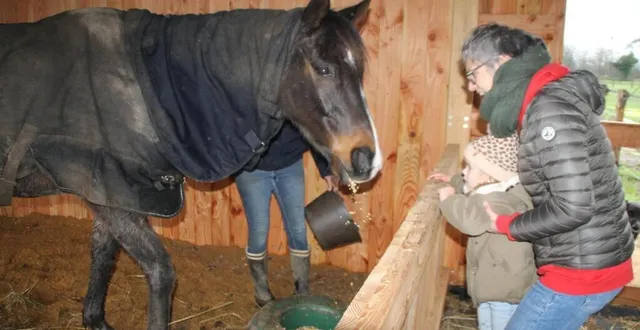 photo  la jeune axelle lors d’une séance de nourrissage des chevaux.  &copy;  le maine libre 