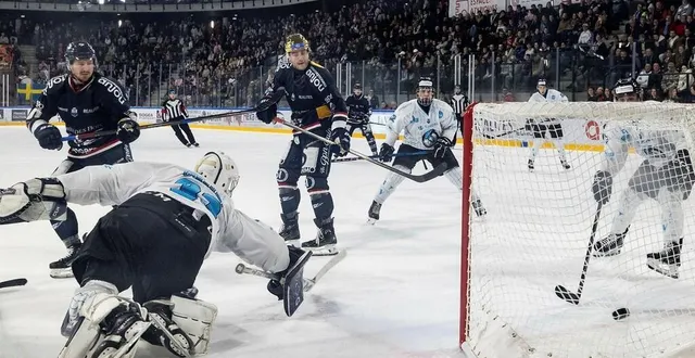 photo  les ducs d’angers affronteront grenoble en finale de la coupe, le dimanche 16 février à bercy.  &copy;  co – régine lemarchand 
