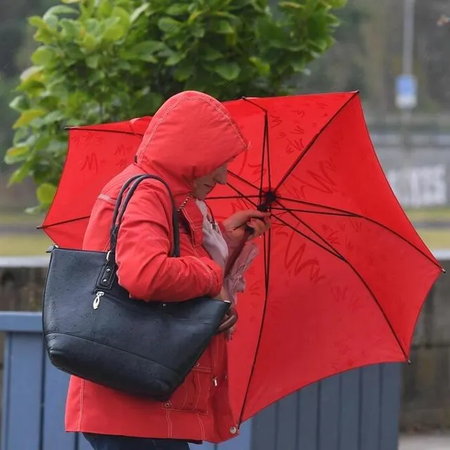 Une perturbation va arroser le Maine-et-Loire et les Deux-Sèvres toute la journée de mercredi 8 janvier (photo d’illustration). CO - Laurent COMBET photo une perturbation va arroser le maine-et-loire et les deux-sèvres toute la journée de mercredi 8 janvier (photo d’illustration). © co - laurent combet