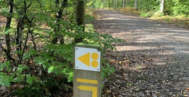 photo  le gesnois bilurien propose plein de nouveaux circuits de randonnée  &copy;  ouest-france 