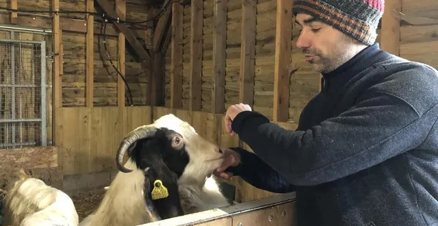 photo  vincent chauvin, directeur du parc animalier d’écouves, dans l’orne.  &copy;  ouest-france 
